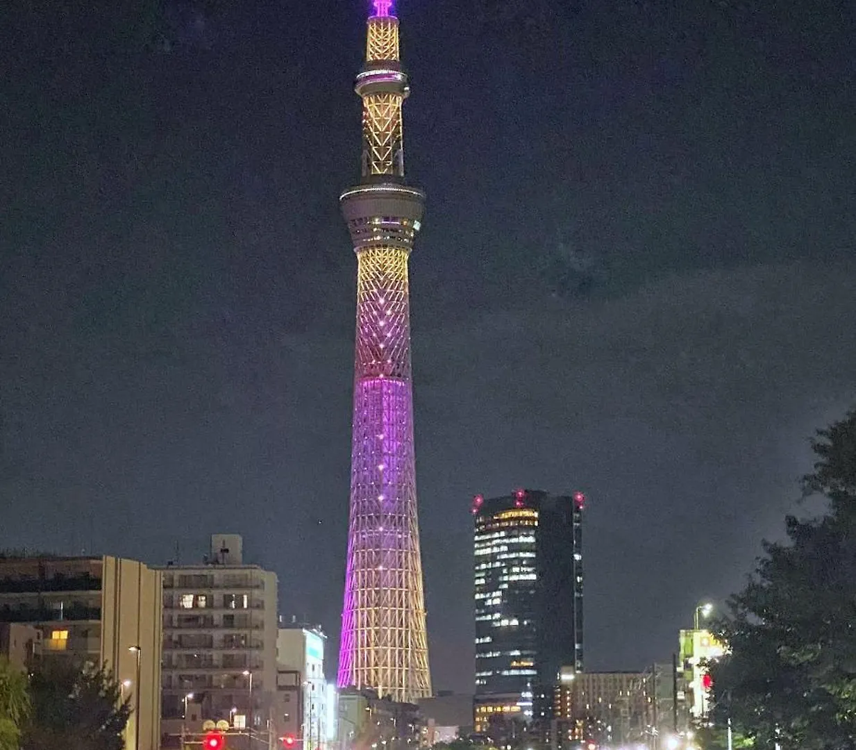 Tokyo Sakura Hotel Japón